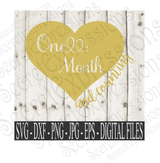 One Month and Counting Svg, Digital File, SVG, DXF, EPS, Png, Jpg, Cricut, Silhouette, Print File