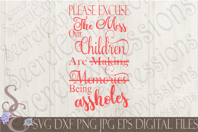 Please Excuse The Mess Svg, Digital File, SVG, DXF, EPS, Png, Jpg, Cricut, Silhouette, Print File